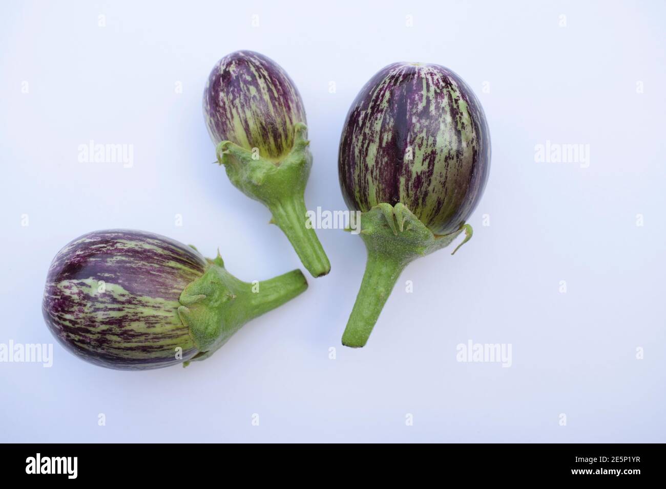 Brinjal, melanzane o melanzane fresche di frutta o verdura indiana. Viola di colore viola con strisce bianche, isolo di melanzane di forma rotonda o sferica Foto Stock