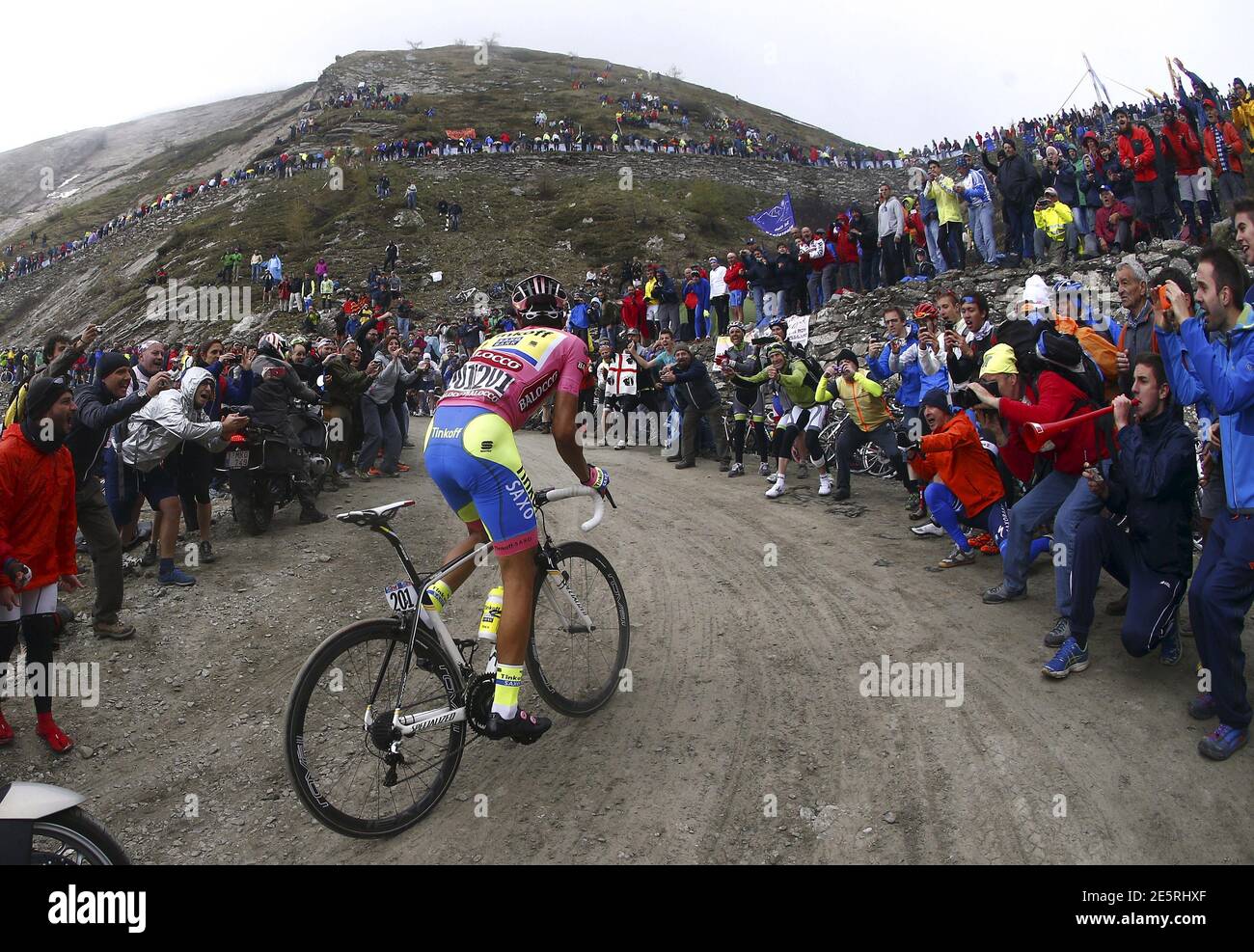 Il pilota Tinkoff-Saxo Alberto Contador di Spagna sale sul Colle delle  Finestre durante la ventesima tappa della 98esima corsa ciclistica giro d' Italia, un percorso di 124 km (199 miglia) da Saint Vincent