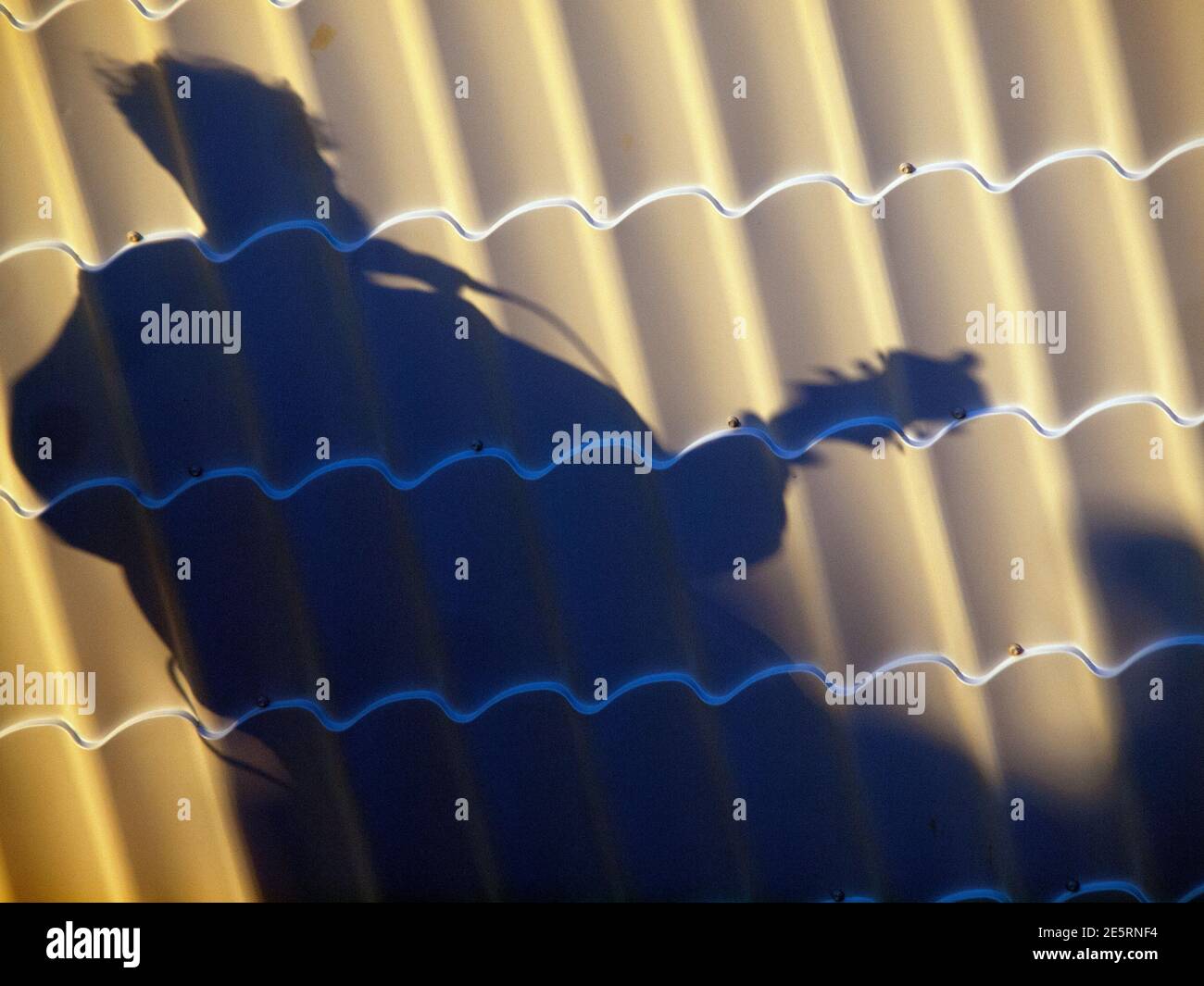 L'ombra di un busker a Brighton Foto Stock
