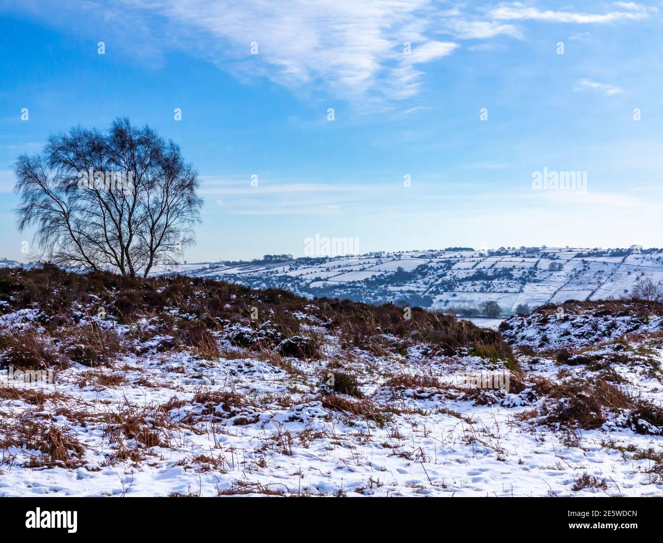 Vista invernale con alberi a Stanton Moor vicino a Bakewell in Il Peak District National Park Derbyshire Inghilterra Regno Unito Foto Stock