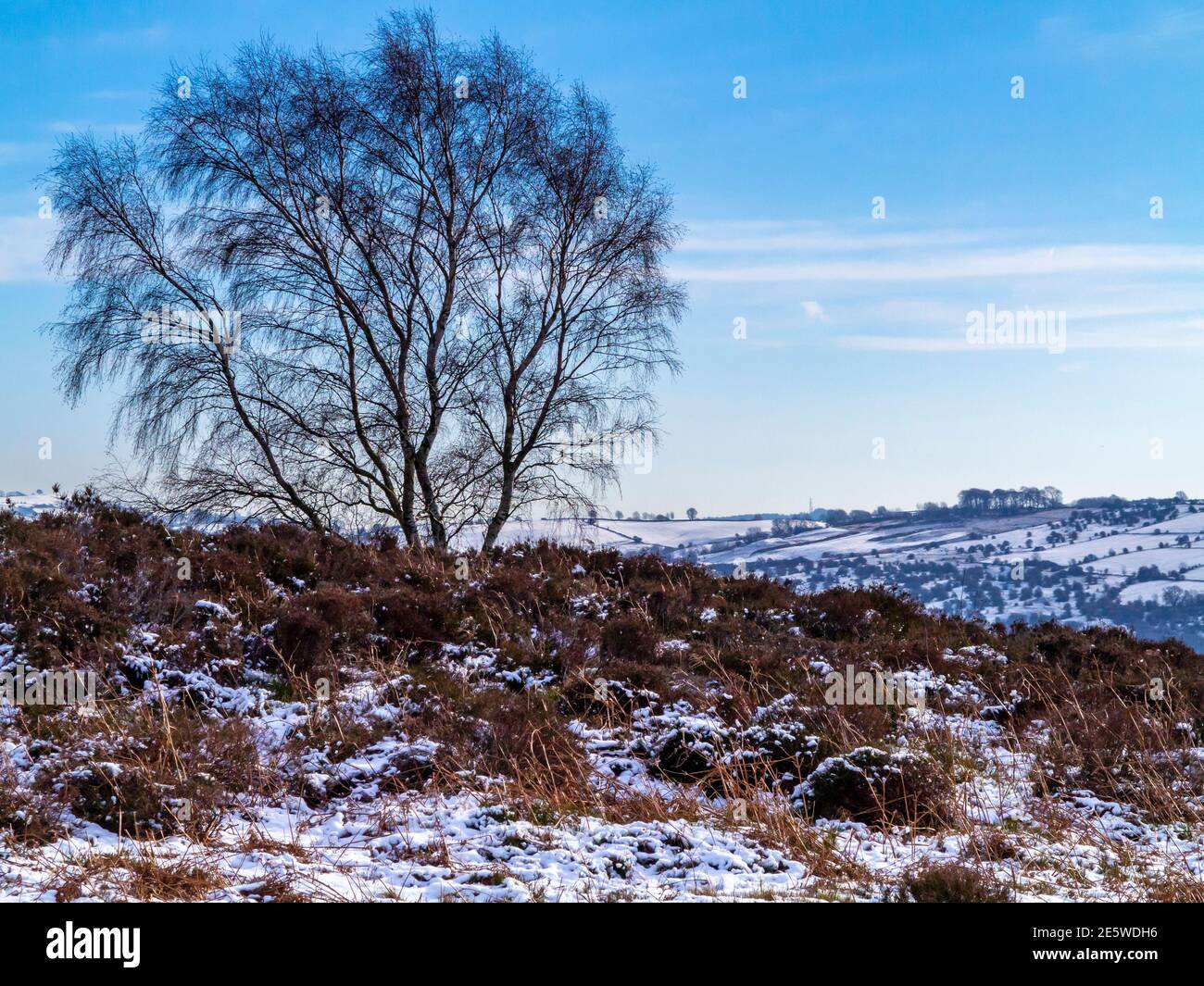Vista invernale con alberi a Stanton Moor vicino a Bakewell in Il Peak District National Park Derbyshire Inghilterra Regno Unito Foto Stock