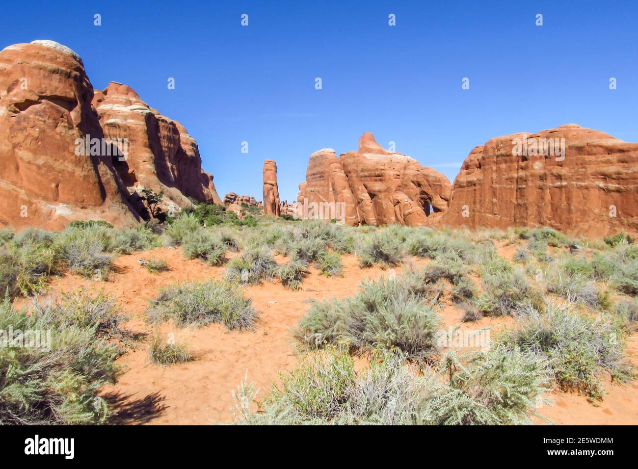 Arbusti del deserto e pinne di arenaria intemperie su un anello primitivo nel Devil's Garden sono del Parco Nazionale di Arches, Utah, USA Foto Stock