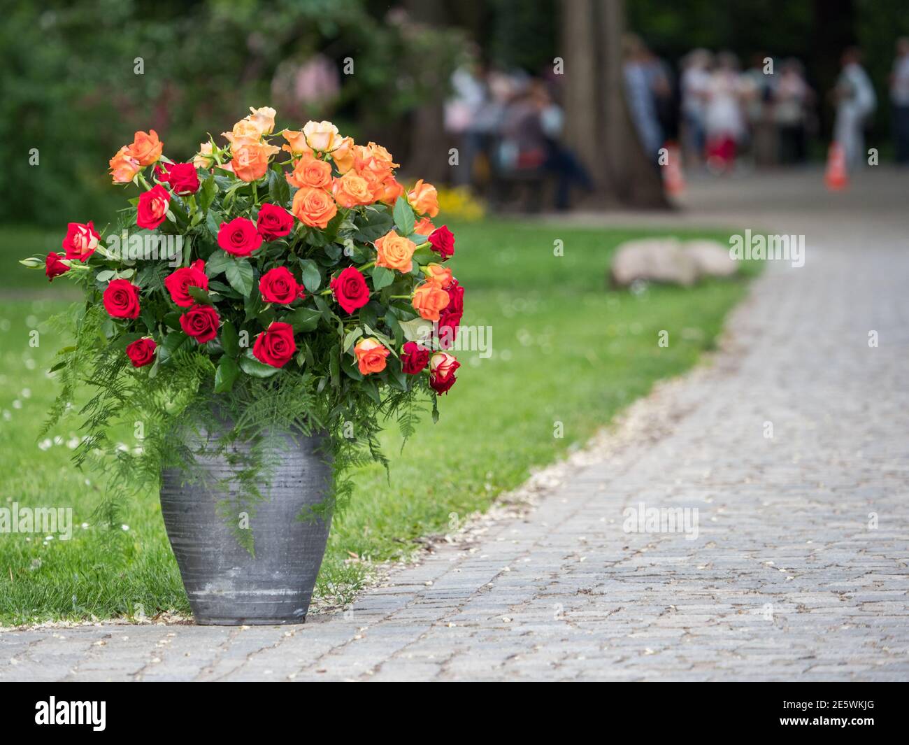 Varsavia, Polonia - 01 giugno 2019: Belle rose romantiche in vasi di argilla nera in Polonia. Royal Bath Park. Europa orientale. Foto Stock