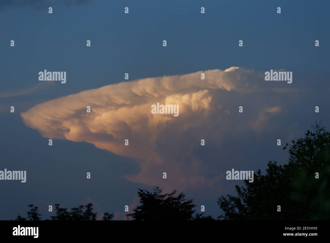 Nube tuono distante nella classica forma incudine illuminata da un sole di sera basso Foto Stock