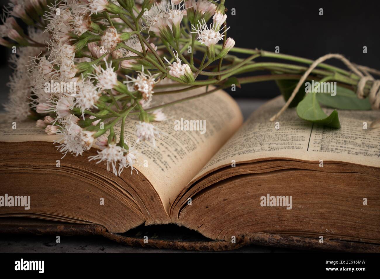 Un libro aperto molto vecchio con un bouquet di fiori selvatici freschi legati con un filo rustico e sdraiato in cima alle pagine scritte. Vista angolare laterale del soggetto Foto Stock