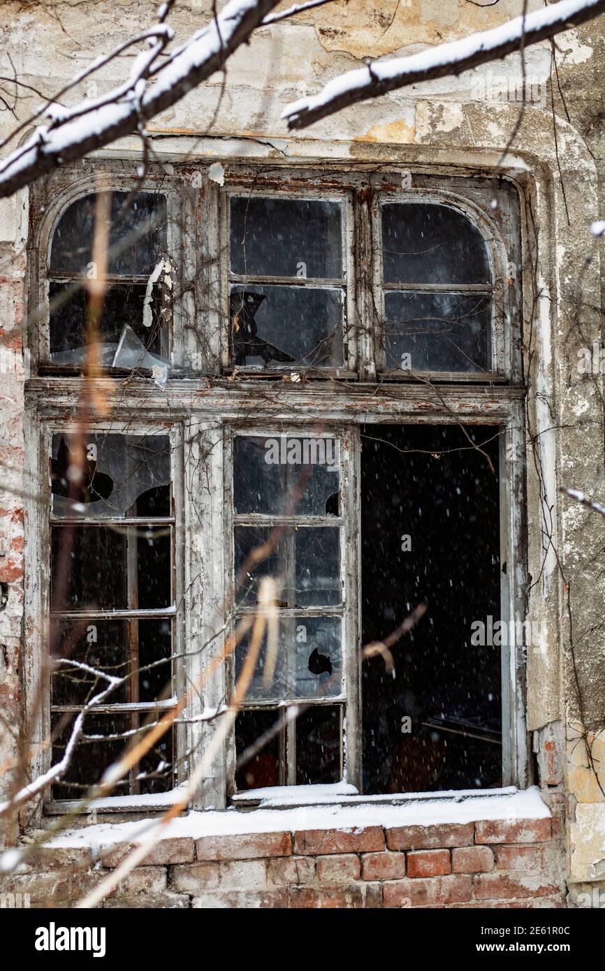 Primo piano di una finestra di vetro rotta su una vecchia casa infestata e apocalittica Foto Stock