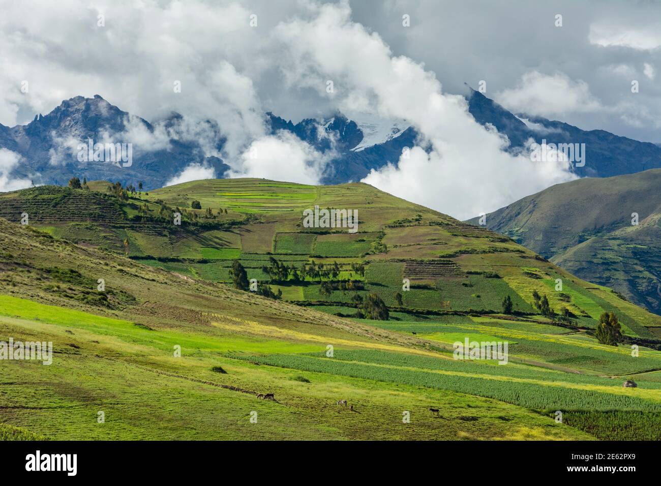 Campi agricoli intorno al villaggio di Moray e le Ande montagne che si innalzano sopra la Valle Sacra, Perù. Foto Stock