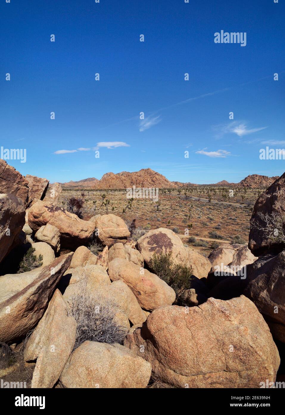 Enormi affioramenti e massi di granito competono con gli alberi di Joshua come attrazioni panoramiche nel Joshua Tree National Park in California. Foto Stock