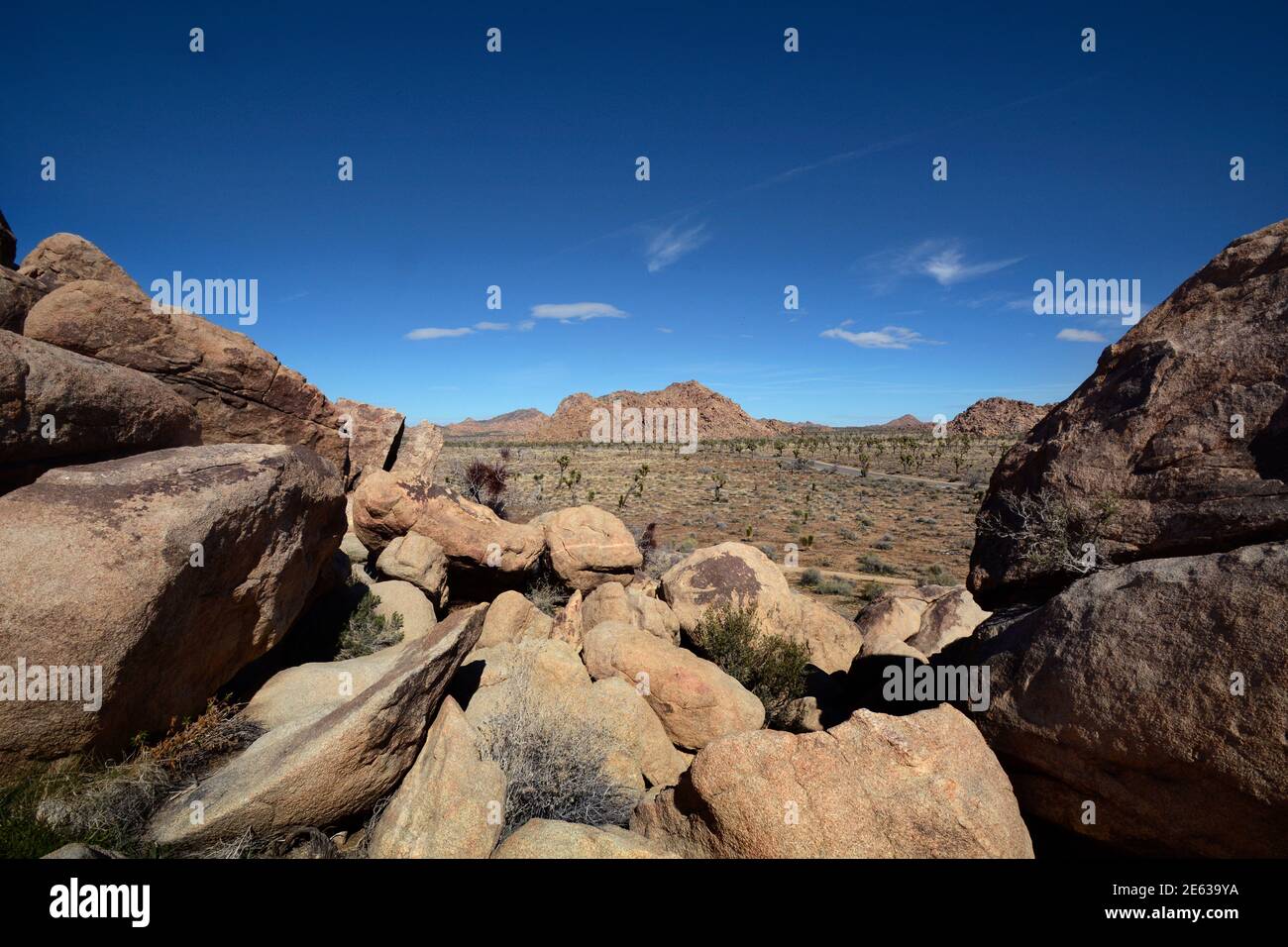 Enormi affioramenti e massi di granito competono con gli alberi di Joshua come attrazioni panoramiche nel Joshua Tree National Park in California. Foto Stock