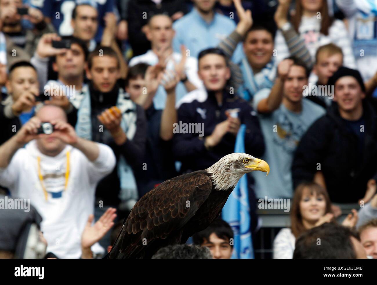Olympia the eagle, Lazio's mascot who flies around the stadium in a pre-match routine, is carried around before their Italian Serie A soccer match against AS Roma at the Olympic stadium in Rome November 7, 2010. REUTERS/Alessandro Bianchi (ITALY - Tags: SPORT SOCCER ANIMALS) Foto Stock