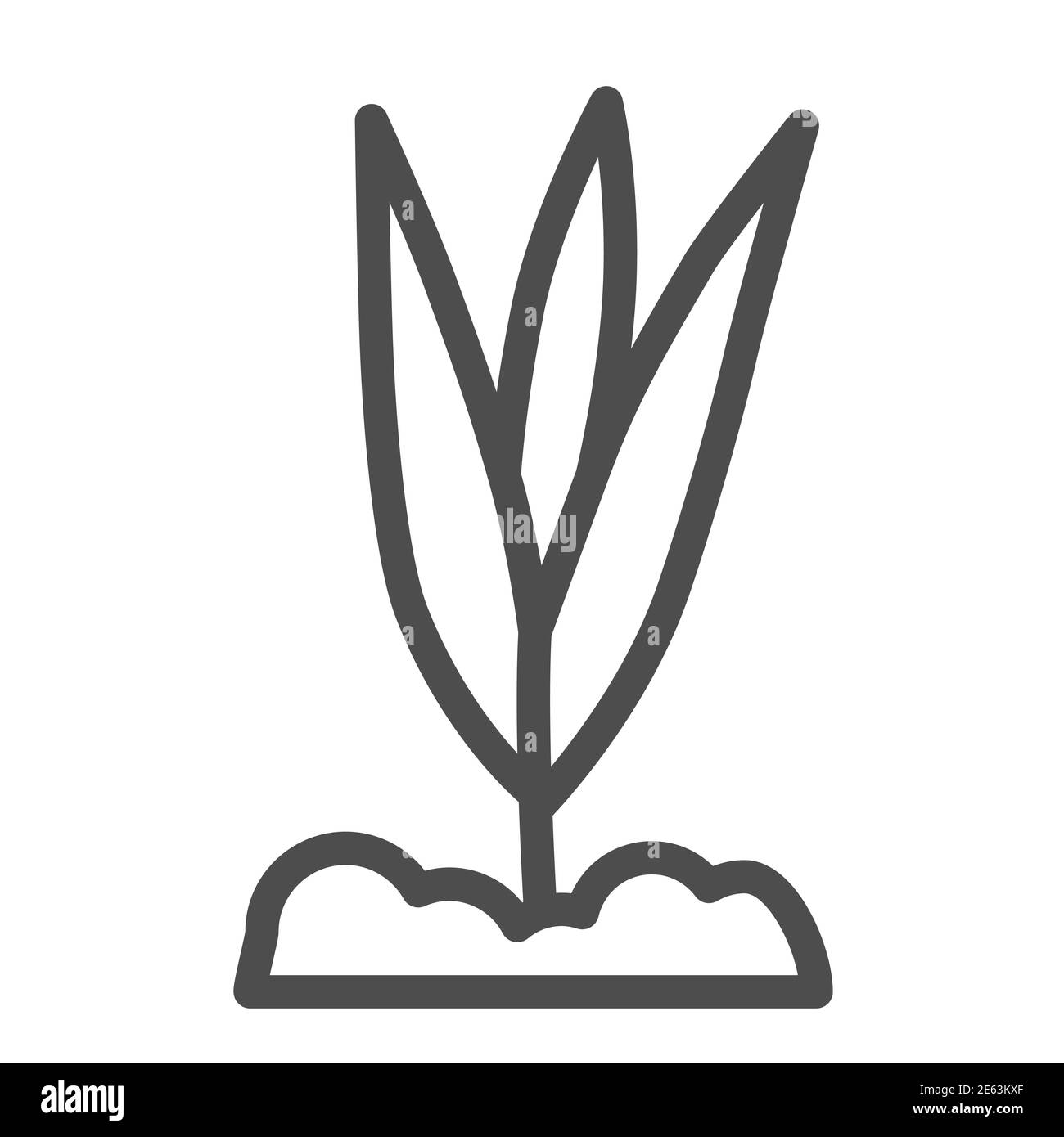 Icona della linea di crescita dei fiori giovani, concetto di primavera, pianta piccola con simbolo delle foglie su sfondo bianco, pianta che cresce dal suolo icona in stile contorno per Illustrazione Vettoriale