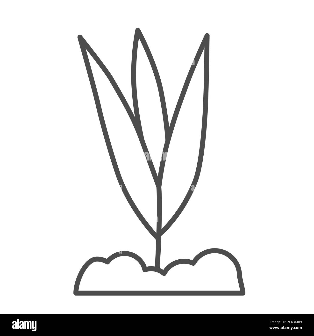 Giovane fiore crescita icona linea sottile, concetto di primavera, piccola pianta con foglie simbolo su sfondo bianco, pianta che cresce dal suolo icona in stile profilo Illustrazione Vettoriale