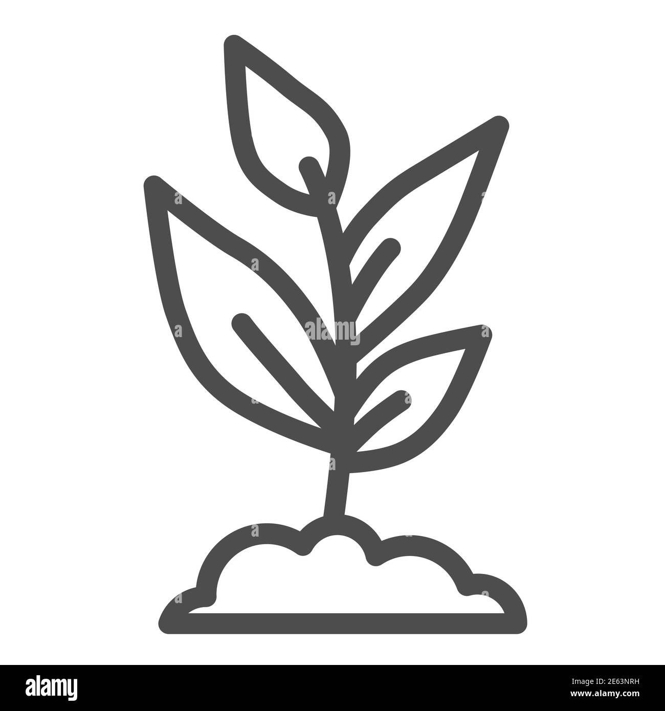 Icona della linea di crescita giovane, concetto di agricoltura, Sprout con molte foglie segno su sfondo bianco, pianta crescente icona in stile profilo per il concetto mobile Illustrazione Vettoriale