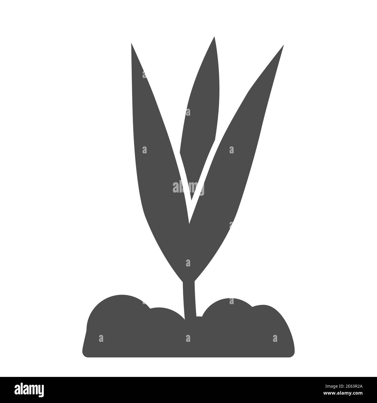 Giovane fiore crescita icona solida, concetto di primavera, piccola pianta con foglie simbolo su sfondo bianco, pianta che cresce dal suolo icona in stile glifo per Illustrazione Vettoriale