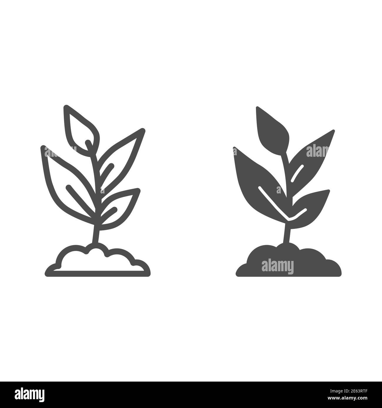 Linea di crescita giovane e icona solida, concetto di agricoltura, Sprout con molte foglie segno su sfondo bianco, pianta crescente icona in stile contorno per Illustrazione Vettoriale