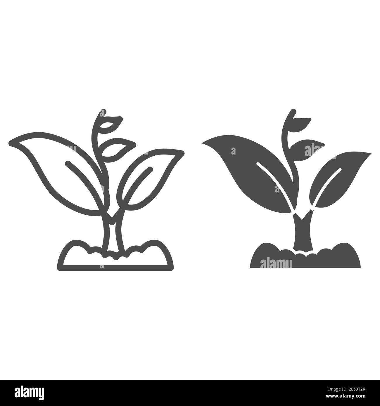 Lo germoglio cresce con molte foglie linea e icona solida, il concetto di giardinaggio, il simbolo di germoglio su sfondo bianco, pianta crescente icona in stile di contorno per Illustrazione Vettoriale