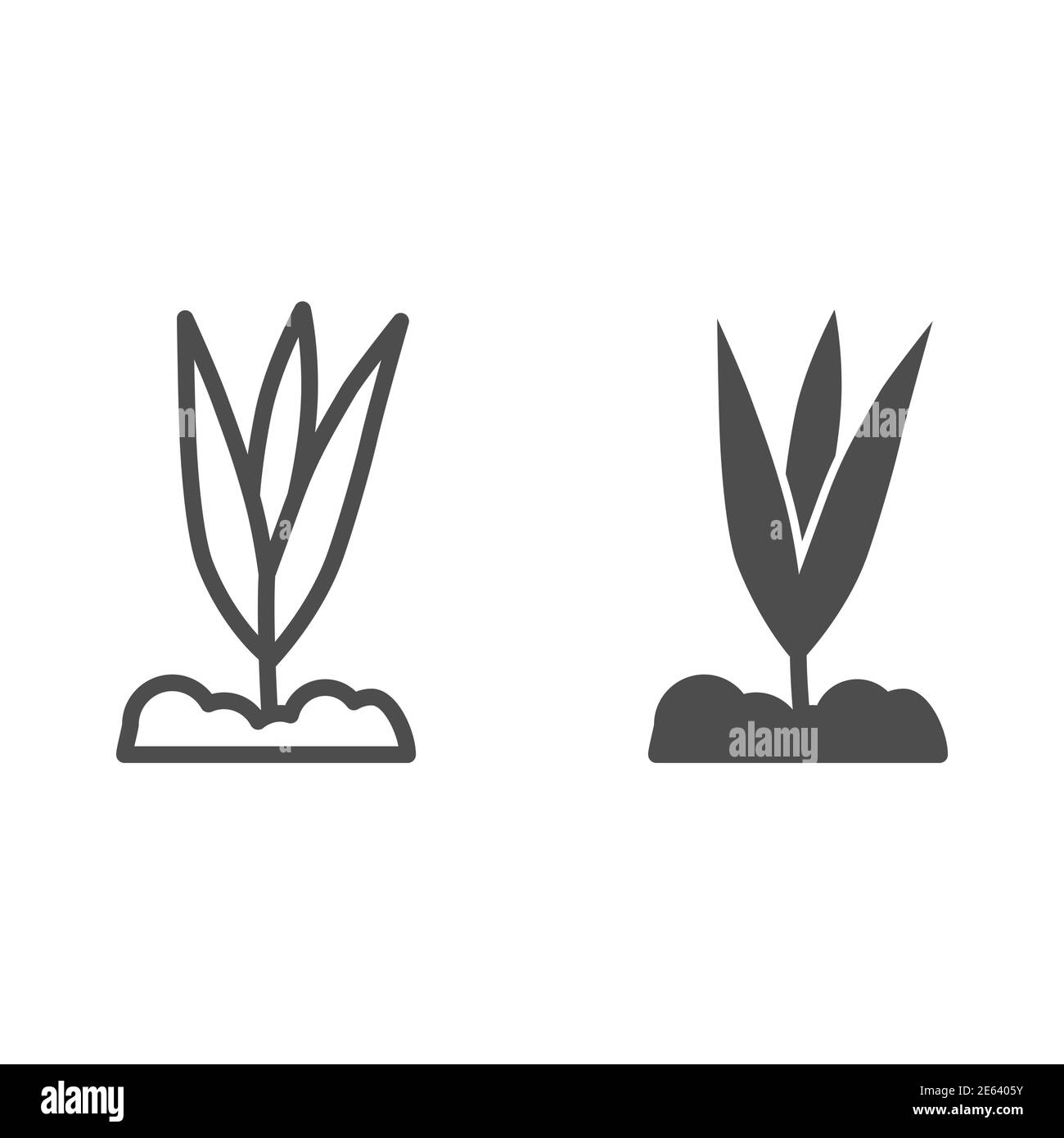 Linea di crescita dei fiori giovani e icona solida, concetto di primavera, pianta piccola con simbolo delle foglie su sfondo bianco, pianta che cresce dal suolo icona in contorno Illustrazione Vettoriale