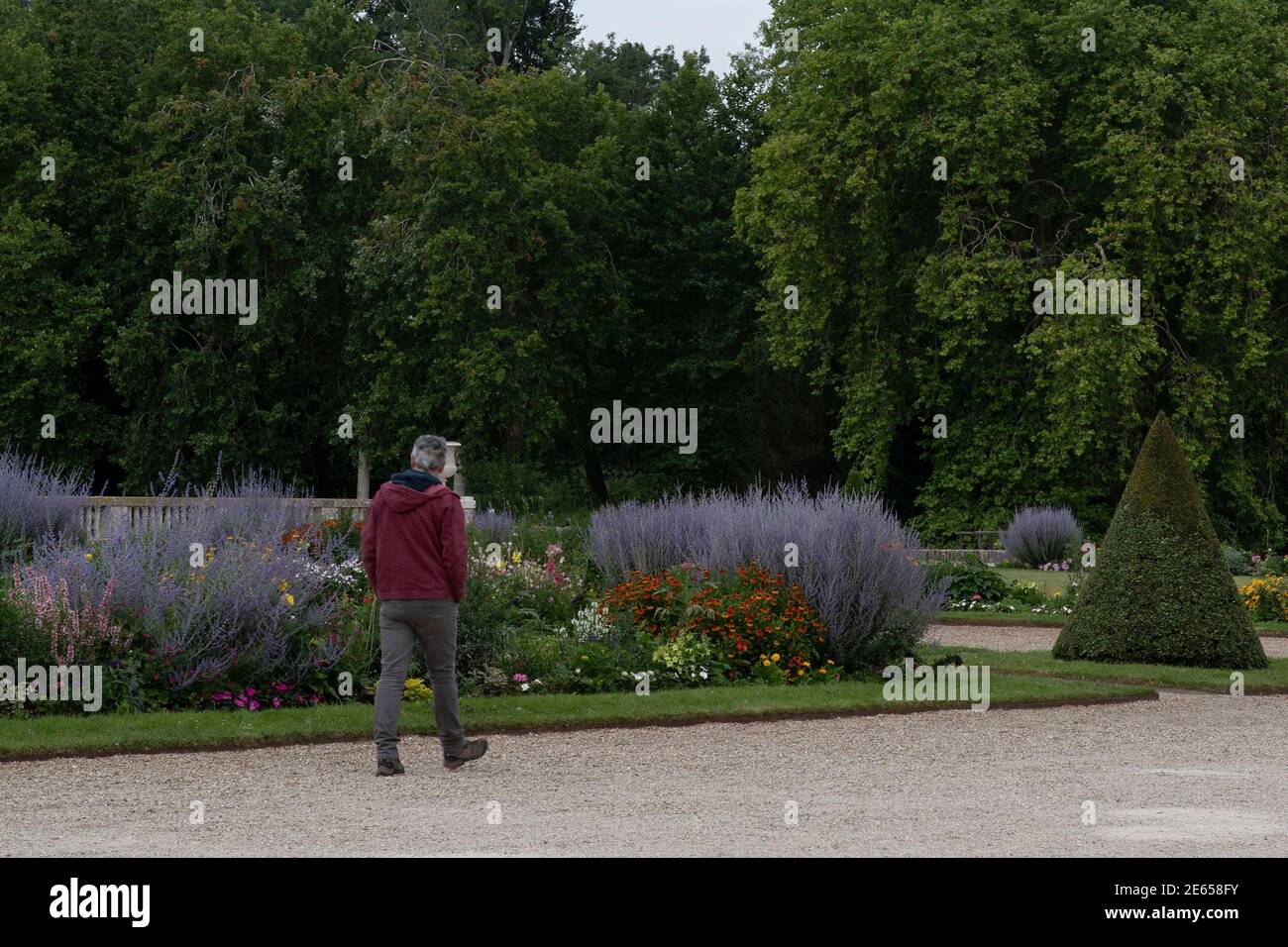 Un uomo cammina in un parco con fiori Foto Stock