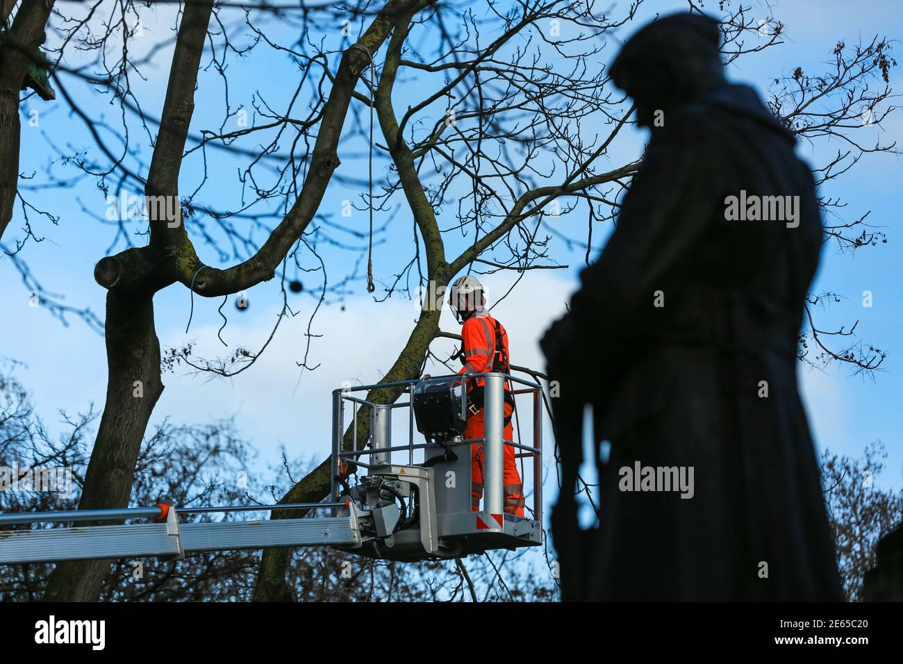 Londra, Regno Unito. 28 Jan 2021. HS2 taglia alberi in Euston Square Gardens dopo aver rimosso i manifestanti dalla ribellione HS2. Credito: Waldemar Sikora Foto Stock