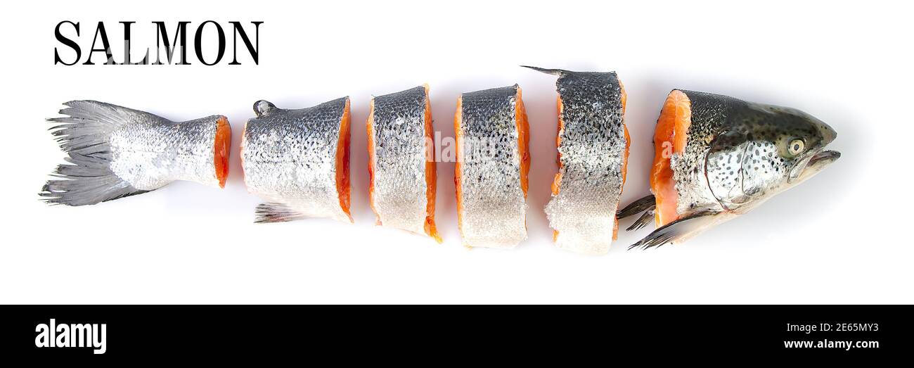 salmone fresco tritato grezzo isolato su bianco Foto Stock