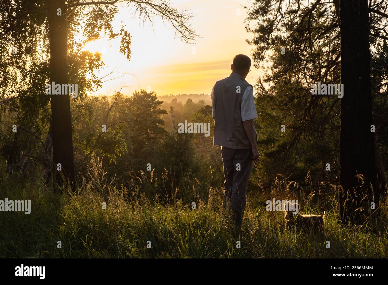 Un uomo di mezza età cammina nel parco con il suo cane sotto il cielo dorato del tramonto in serata. Passeggiate all'aperto. Famiglia, animali domestici e concetto di viaggio. Foto Stock