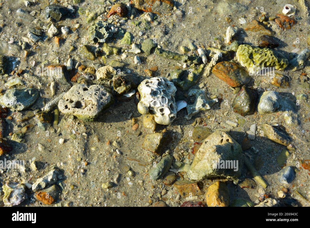 molte rocce sulla spiaggia di sabbia nel pomeriggio soleggiato Foto Stock