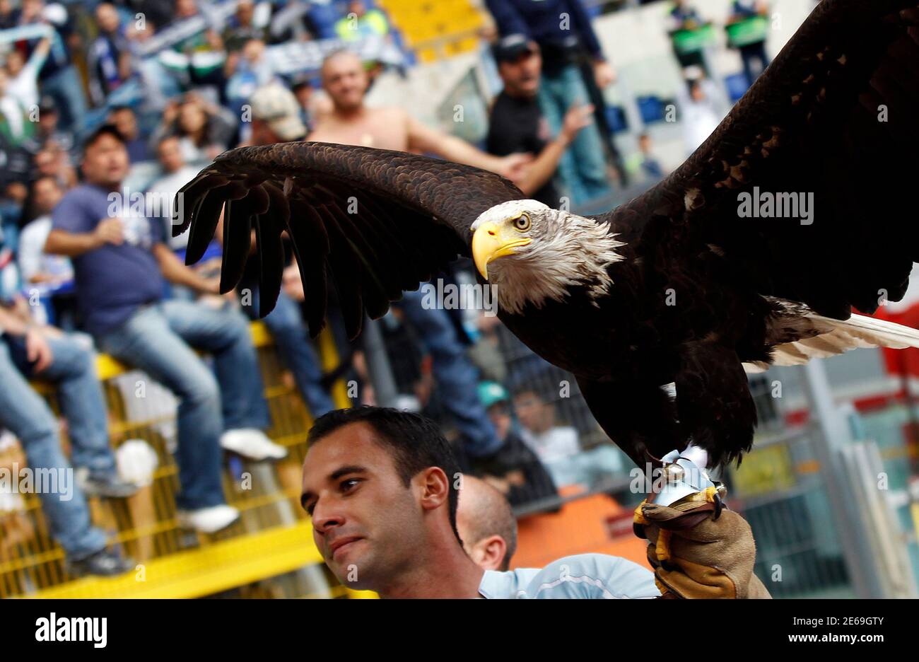 Olympia the eagle, Lazio's mascot who flies around the stadium in a pre-match routine, is carried around before their Italian Serie A soccer match against AS Roma at the Olympic stadium in Rome November 7, 2010. REUTERS/Alessandro Bianchi (ITALY - Tags: SPORT SOCCER ANIMALS) Foto Stock