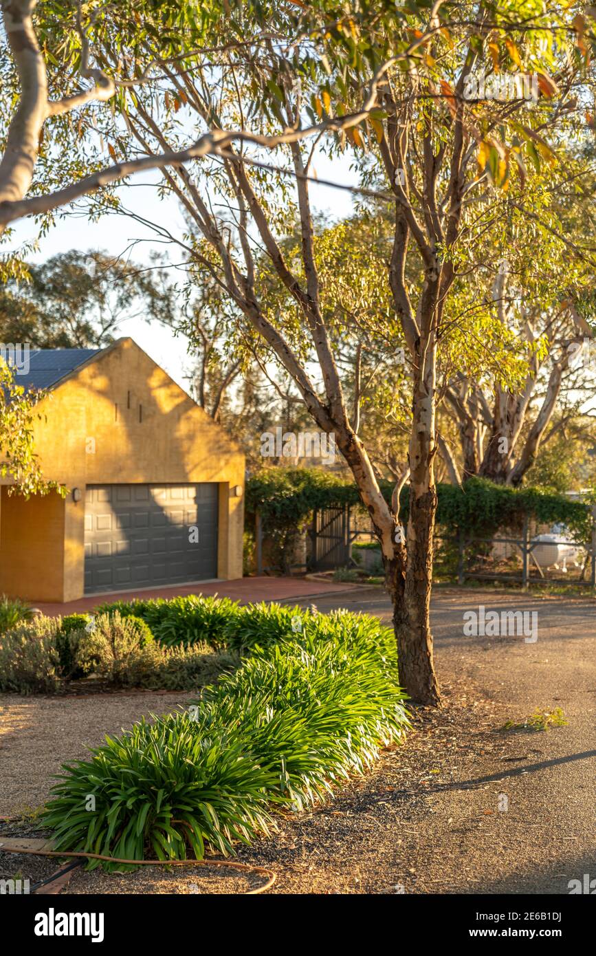 Paesaggistico Australian Native Plant Garden circonda una casa in stile country moderno. Foto Stock