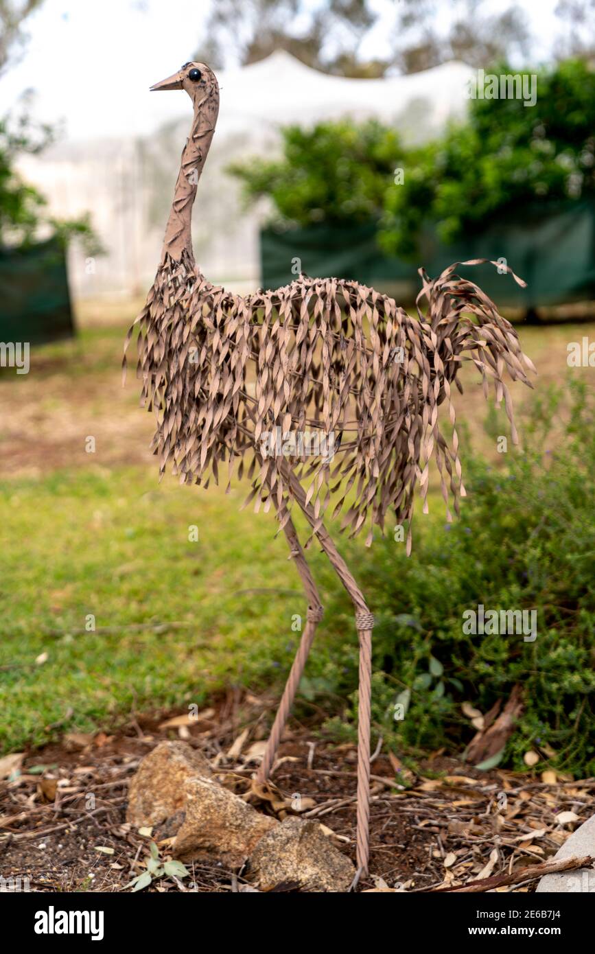Garden Art, Bird of Paradise, in un giardino paesaggistico di piante australiane Foto Stock