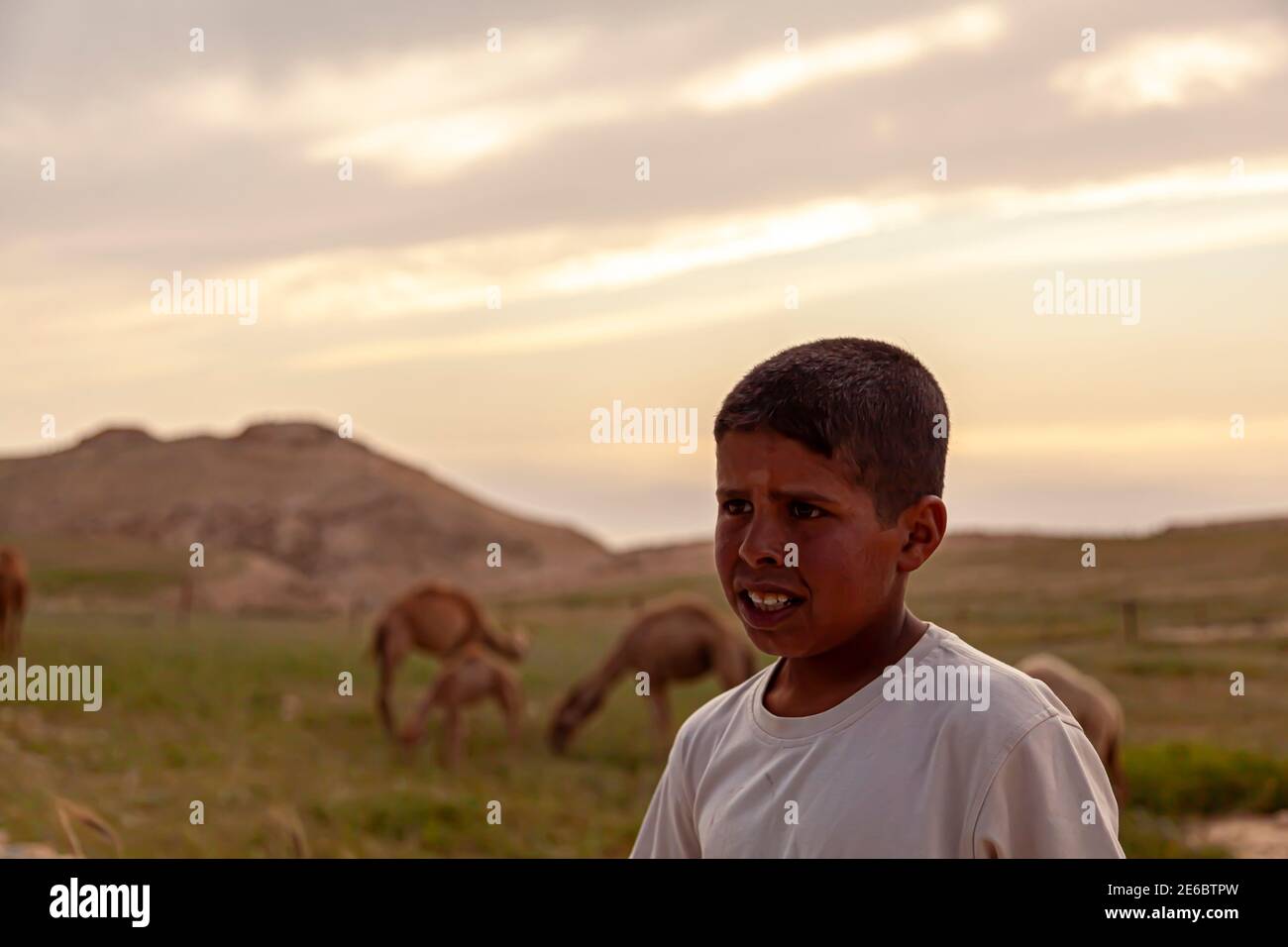 Wadi Musa, Jordan 04.01.2010: Ritratto di un giovane pastore beduino locale, in attesa dei suoi cammelli sulle aride colline giordane. Nella sfocatura Foto Stock