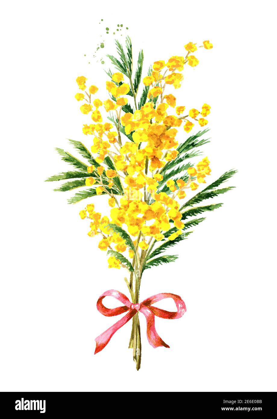 Bouquet di fiori di primavera gialli Mimosa. Immagine disegnata a mano con  acquerello isolata su sfondo bianco Foto stock - Alamy