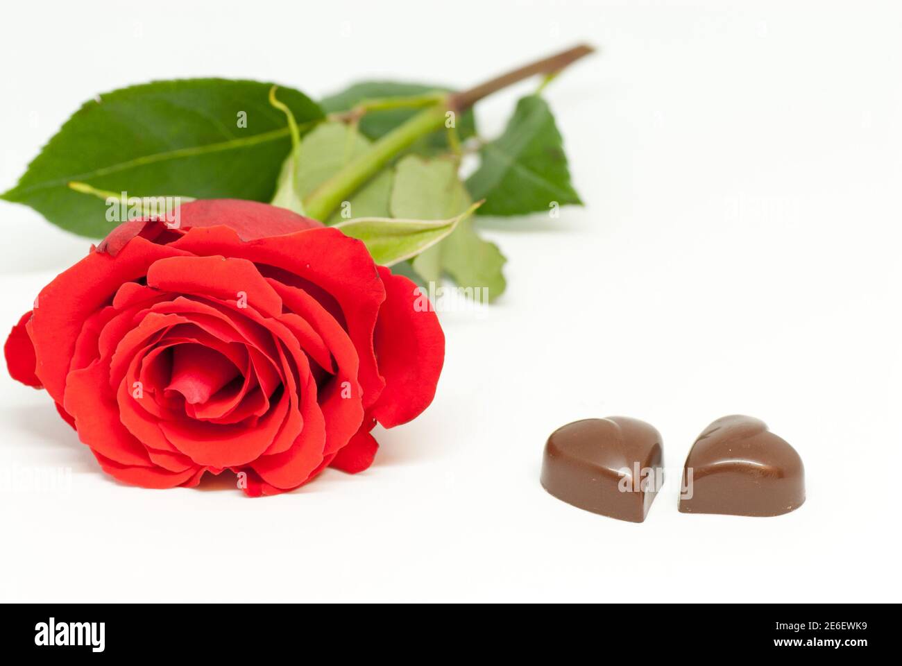 rosa rossa e varie forme di cioccolato su bianco fondo amore il concetto di giorno di san valentino romantico Foto Stock