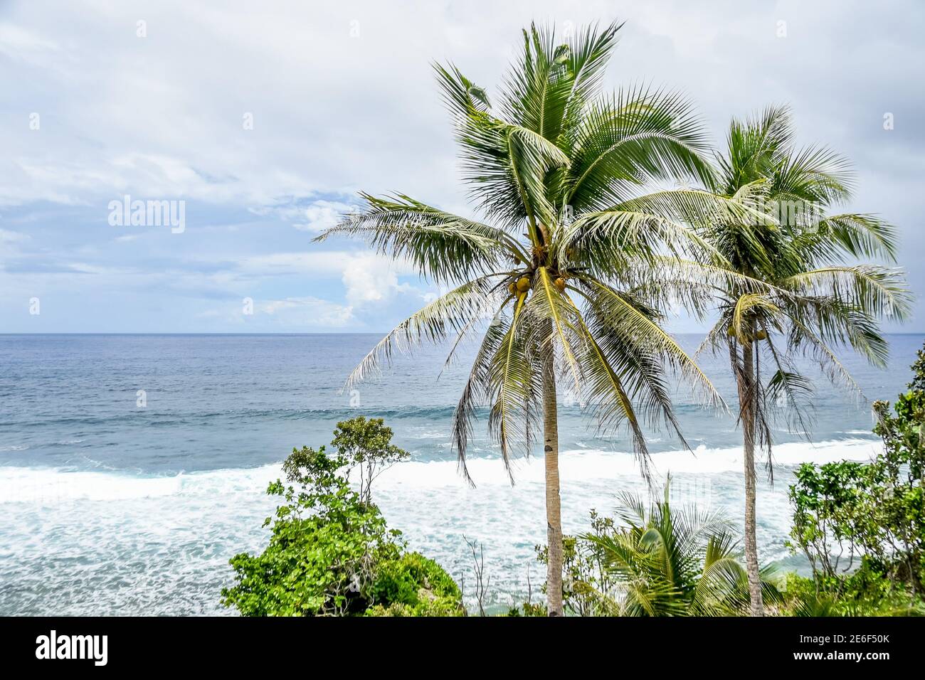 Siargao Island Himaya Beach, il miglior faro bianco e le incredibili palme Coconuts, Tigasao Village, San Isidro. Ottima acqua blu dell'oceano e sabbia bianca Foto Stock