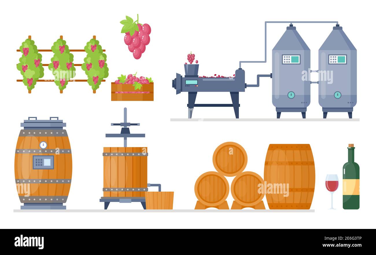 Processo di produzione del vino in fabbrica di cantina produzione di set di illustrazioni vettoriali. Linea di lavorazione cartoni con uve da coltivazione, macchina per la fermentazione Illustrazione Vettoriale