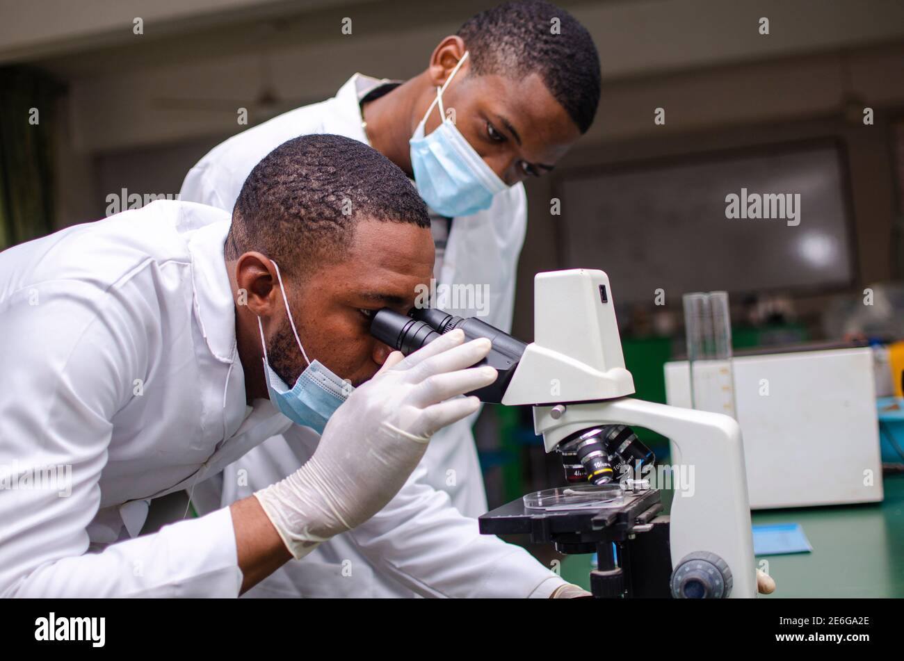 Giovani scienziati di laboratorio neri che guardano attraverso un microscopio per testare un campione Foto Stock