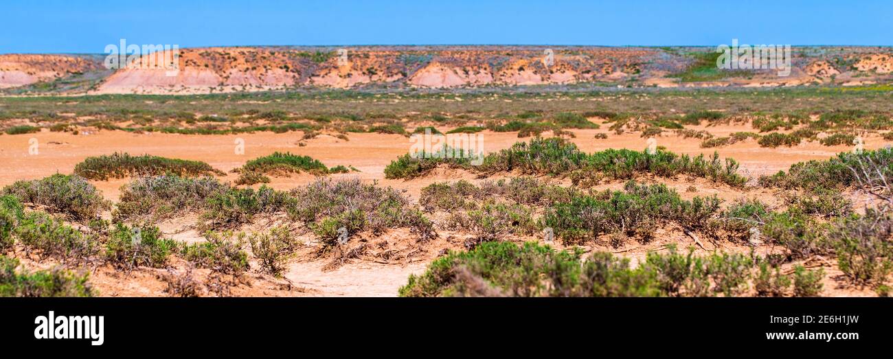 Paesaggio con secco takir incrinato il suolo in semi-deserto in Russia Foto Stock