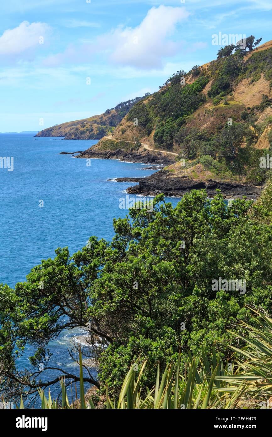 Costa panoramica sulla remota punta settentrionale della penisola di Coromandel, Nuova Zelanda. La strada di Port Jackson può essere vista tortuosa intorno alle baie rocciose Foto Stock