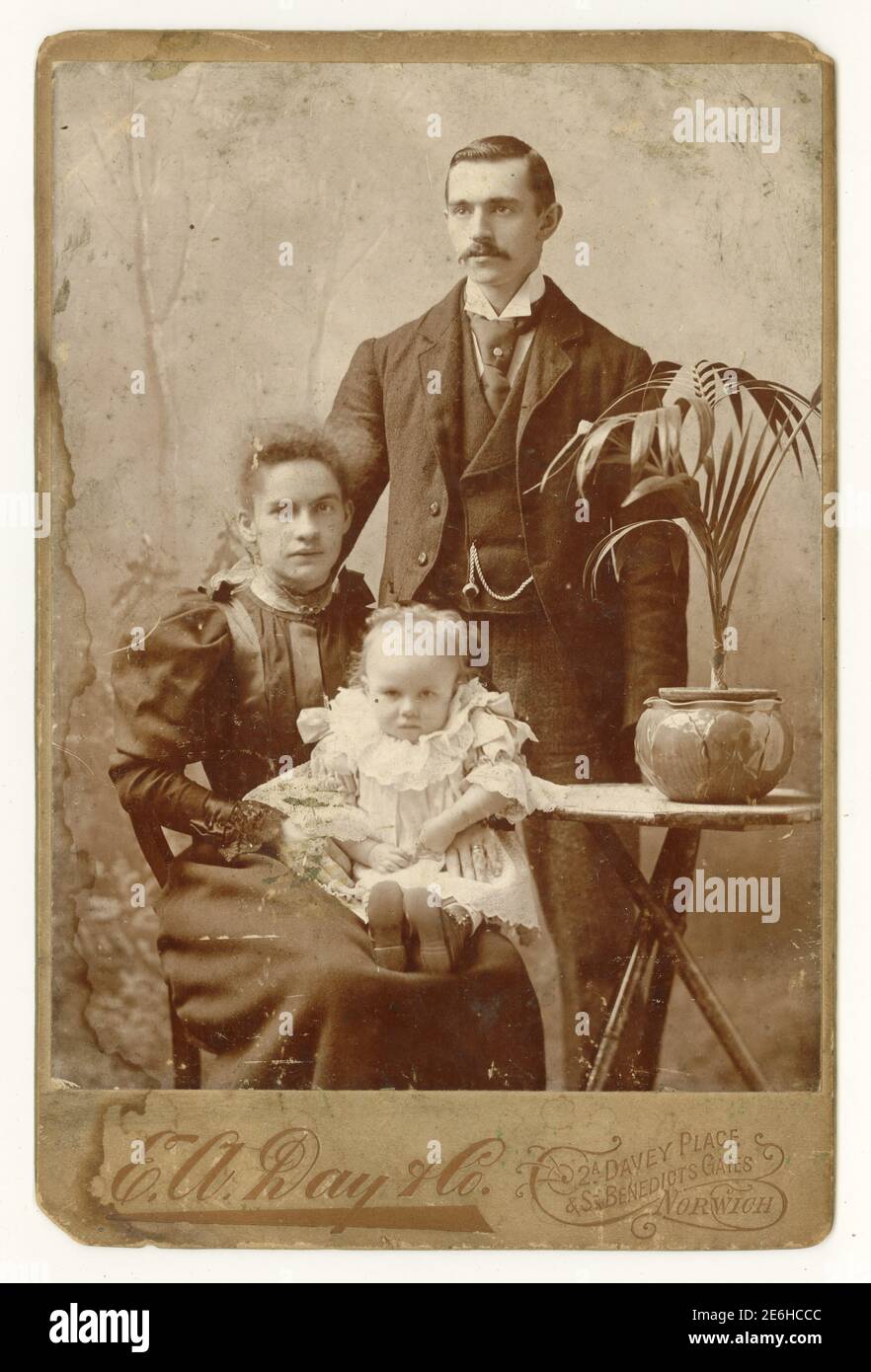 Originale ritratto in studio con tessera vittoriana antica con tipica palma in vaso/pianta d'casa in vaso. Il ritratto e' di una giovane coppia attraente con la loro figlia. Uomo vittoriano, donna vittoriana signora vittoriana. La foto è datata 1895, dallo studio di E. A. Day & Co. Norwich, Norfolk, U. K Foto Stock