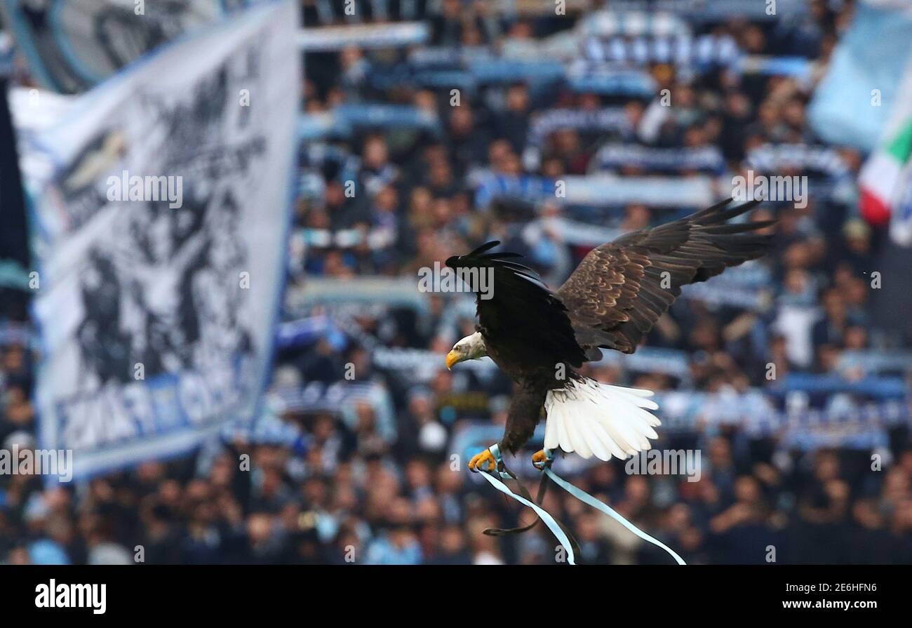 Football - Soccer - Lazio v AS Roma - Italian Serie A - Olympic Stadium, Rome, Italy - 4/12/2016. Lazio's mascot, a white headed eagle called Olimpia, flies prior to the start of the match against AS Roma. REUTERS/Alessandro Bianchi Foto Stock