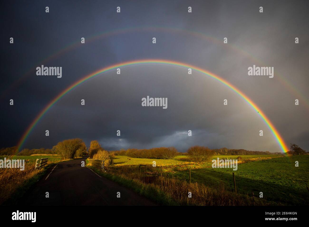 Alluvione sui livelli del Somerset vicino a Muchelney. Foto Stock