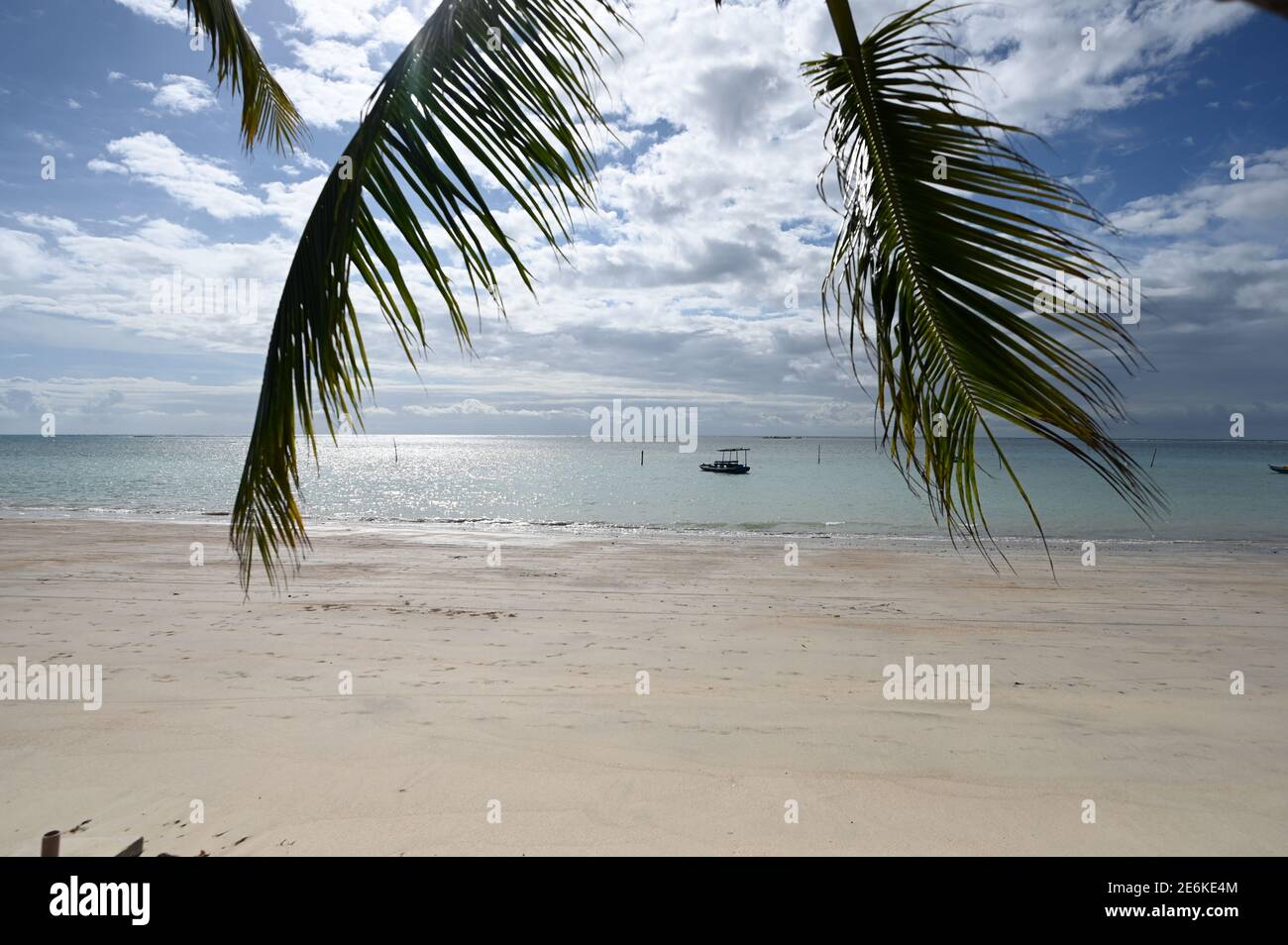 Spiaggia tropicale in Brasile Foto Stock