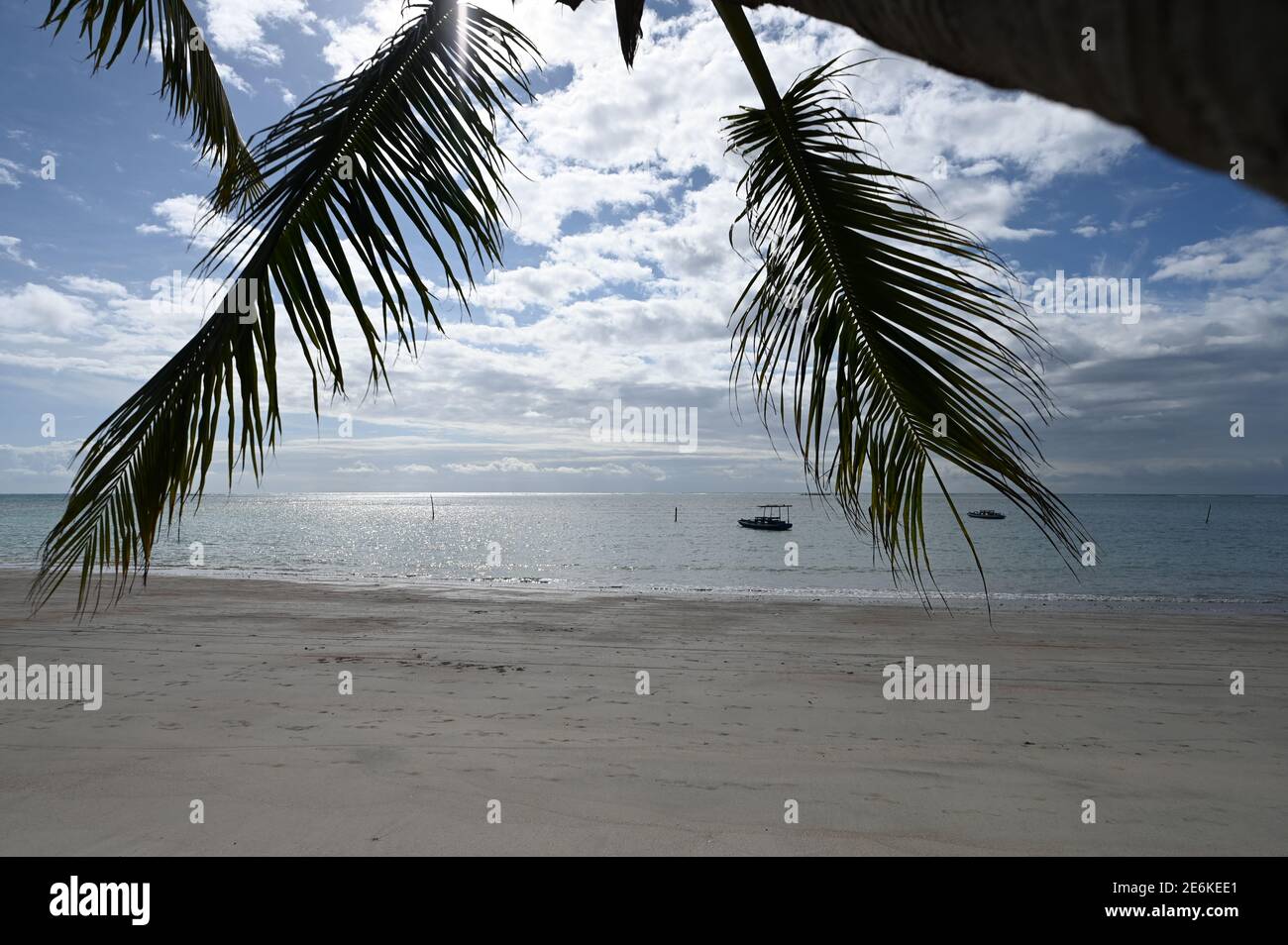 Spiaggia tropicale in Brasile Foto Stock