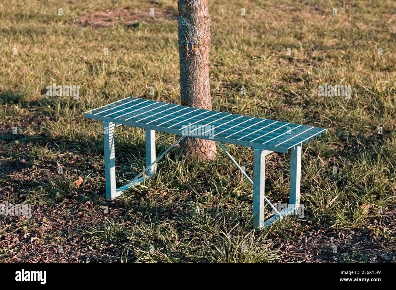 Una panchina in acciaio accanto ad un tronco d'albero in un parco pubblico (Pesaro, Italia, Europa) Foto Stock