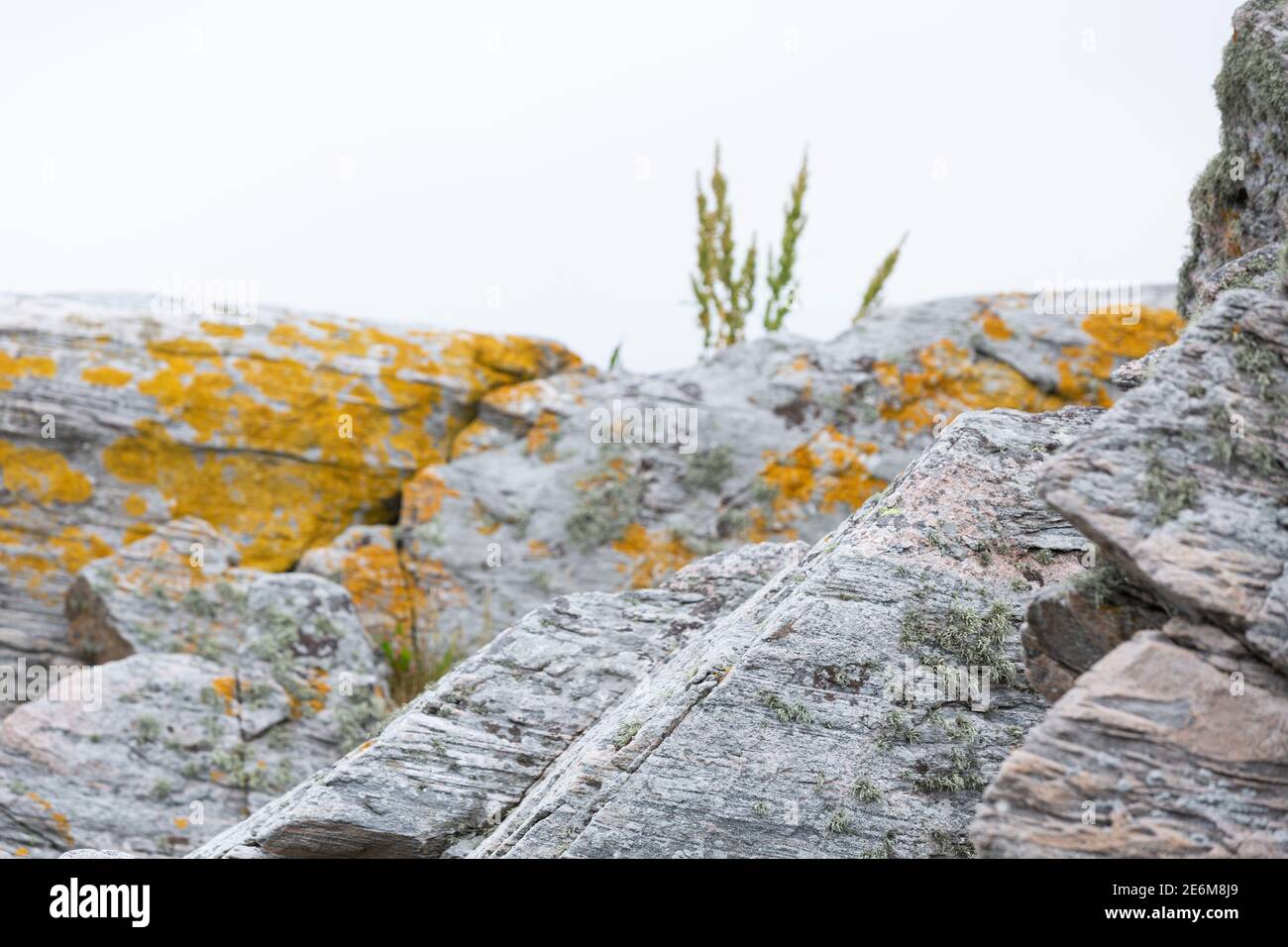 Rocce surcresciute sulla costa di Lindesnes, Norvegia Foto Stock