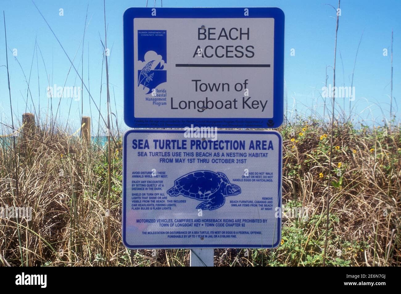 Zona di protezione delle tartarughe marine, Longboat Key, Florida, USA Foto Stock