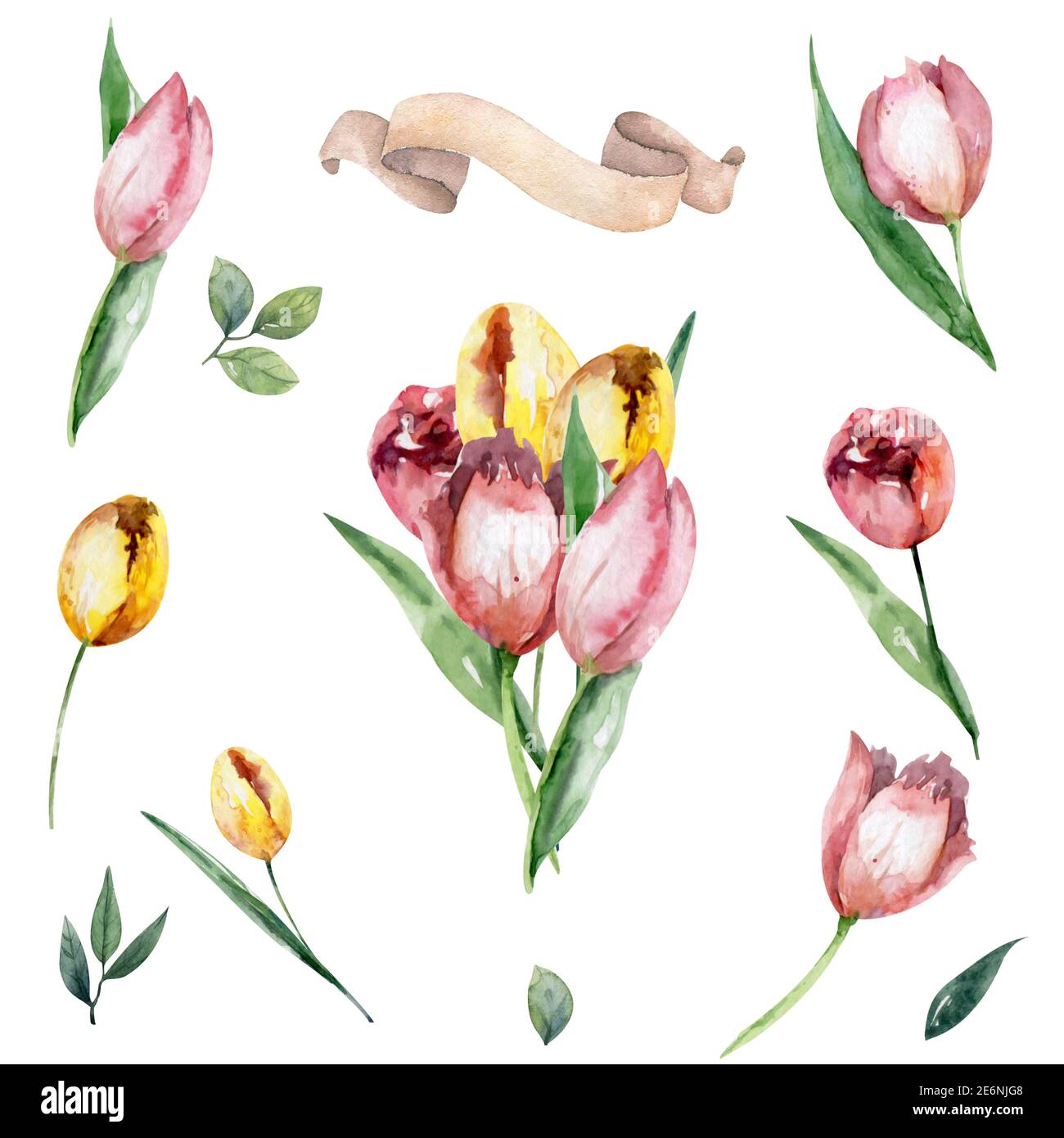 Bouquet di tulipani bianchi, rosa e gialli. Pittura a mano isolato fiori floreali primavera illustrazione Foto Stock