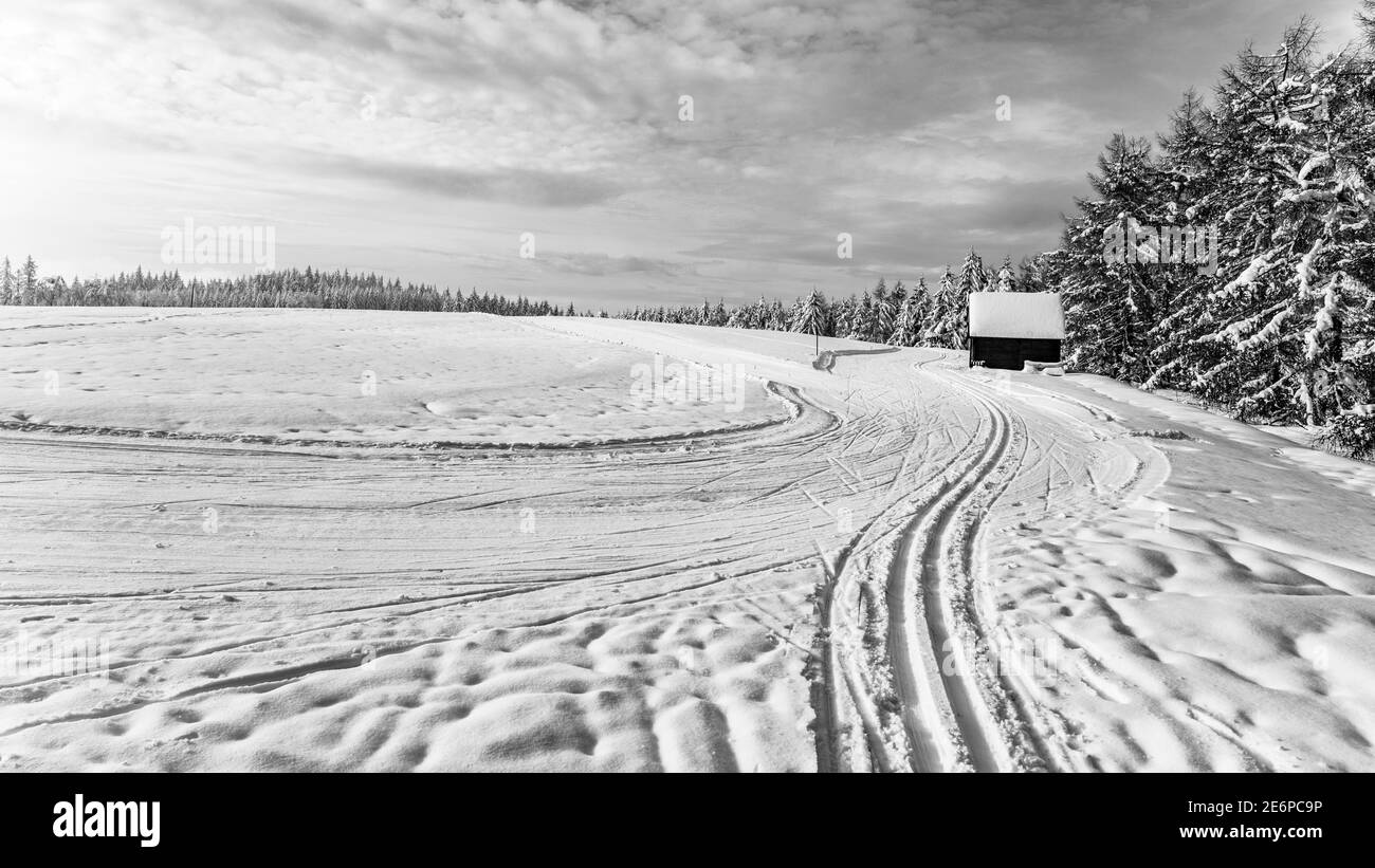 Pista da sci di fondo. Giornata di sole in montagna. Attività ricreative all'aperto. Immagine in bianco e nero. Foto Stock