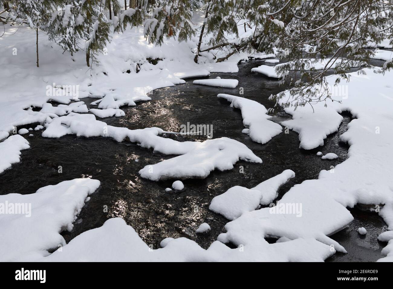 Neve fresca sulle rapide di Hewitts Creek dopo una tempesta di neve Lungo Wilkins camminare Barrie Canada Foto Stock