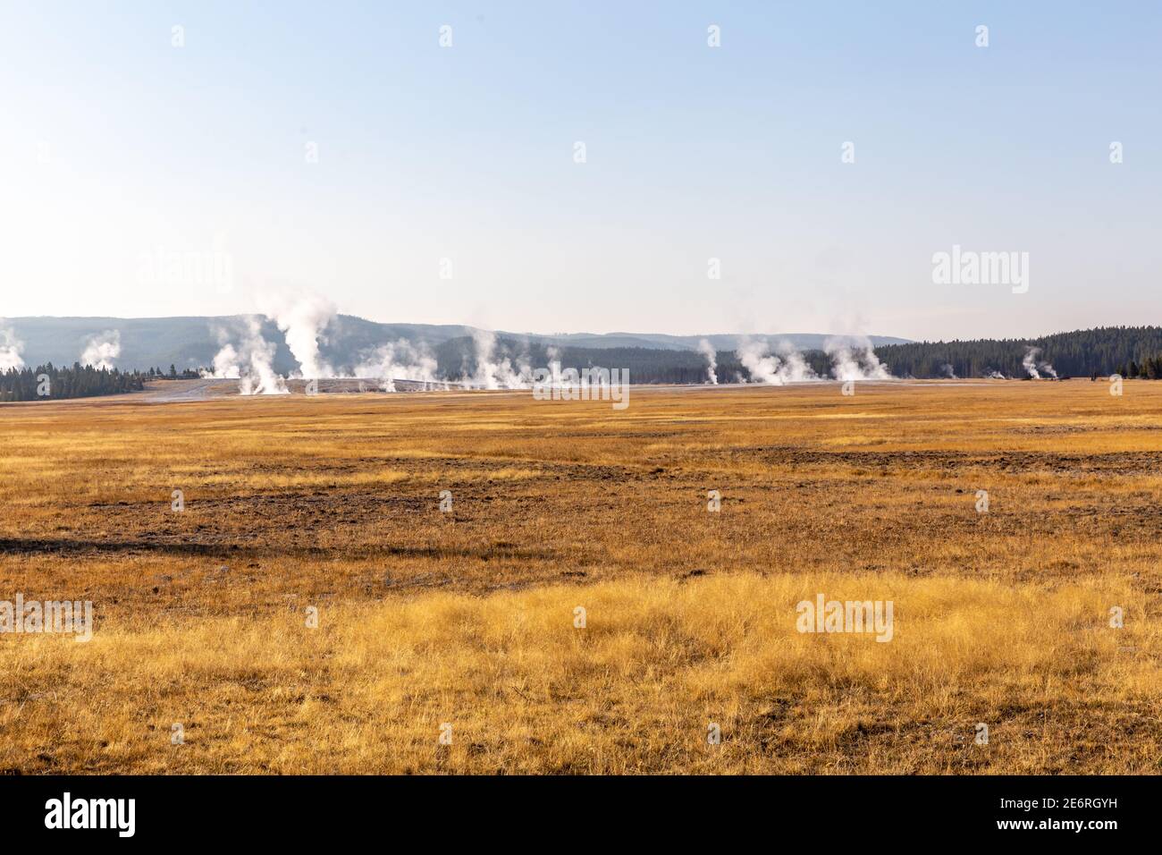 I geyser sono sorgenti termali calde con spazi ristretti nelle loro tubazioni, solitamente vicino alla superficie. Quando l'acqua sale, si forma del vapore. Quantità enormi di vapore Foto Stock