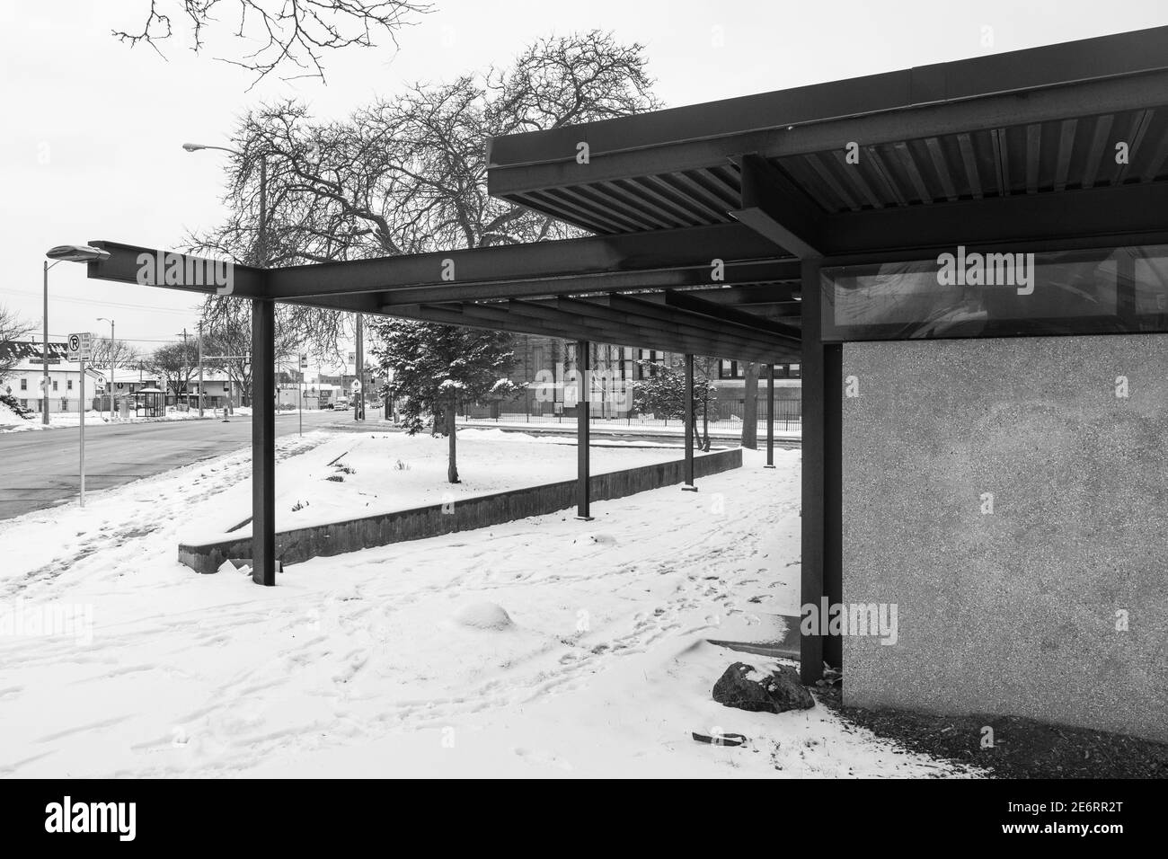 Biblioteca di casa di foresta Foto Stock